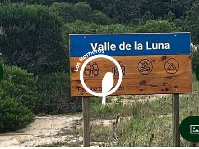 #336 - Terreno para Venta en Rocha - UY-RO
